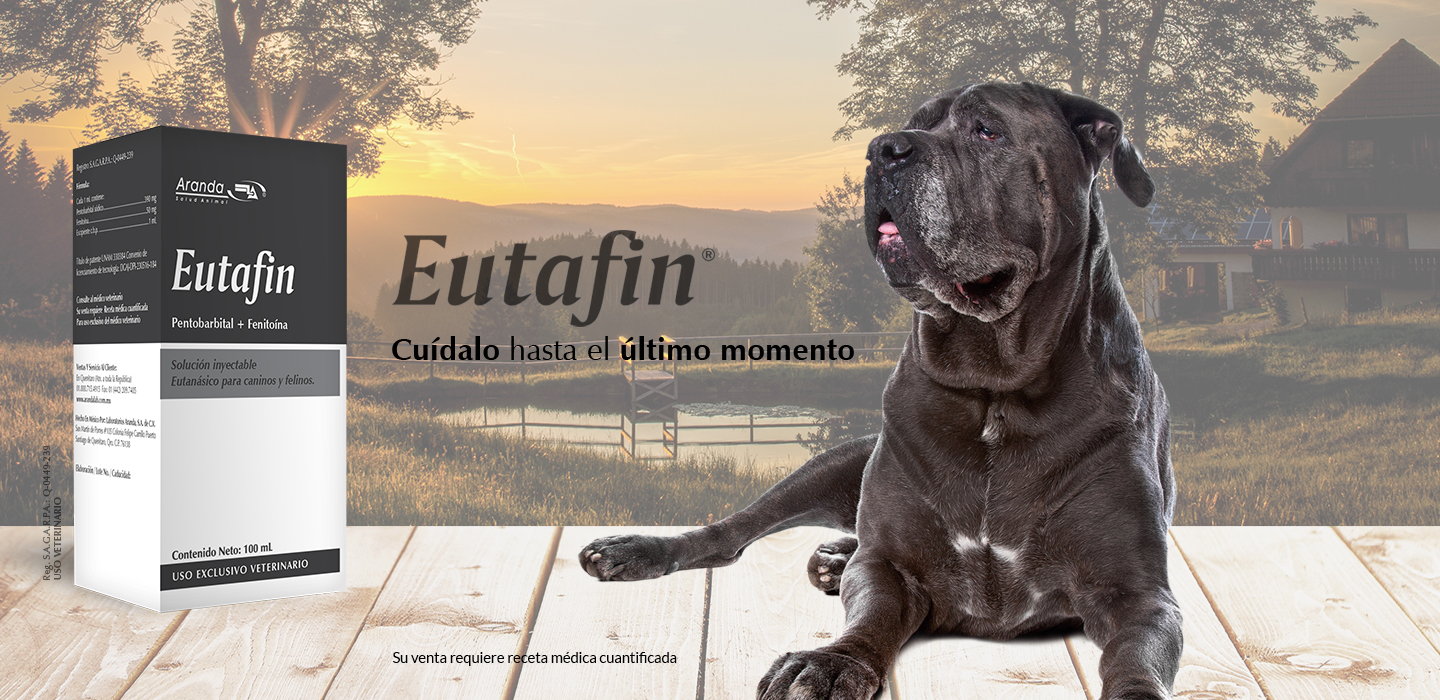 Eutafin eutanasico para perros y gatos